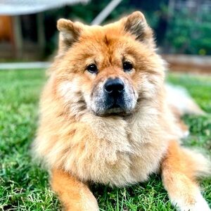 Meet your Posher, Jas